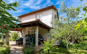 Nice Apartment In Rukavac With Kitchen